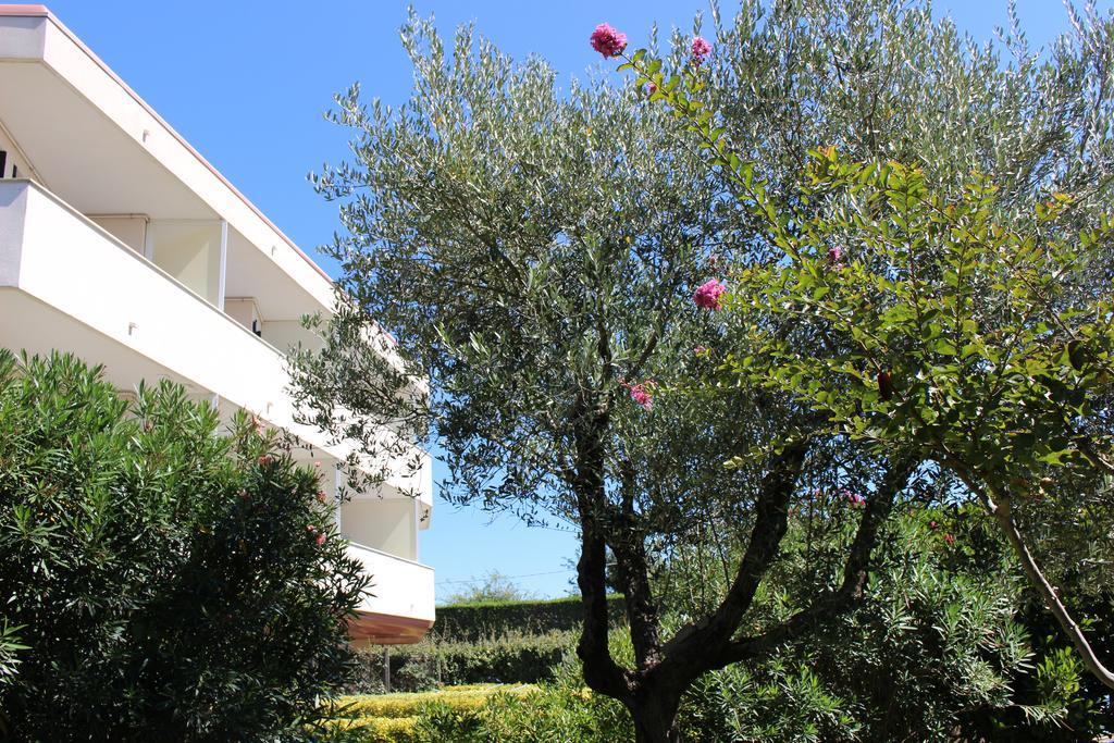 Eurobeach Residence Cavallino-Treporti Exterior photo